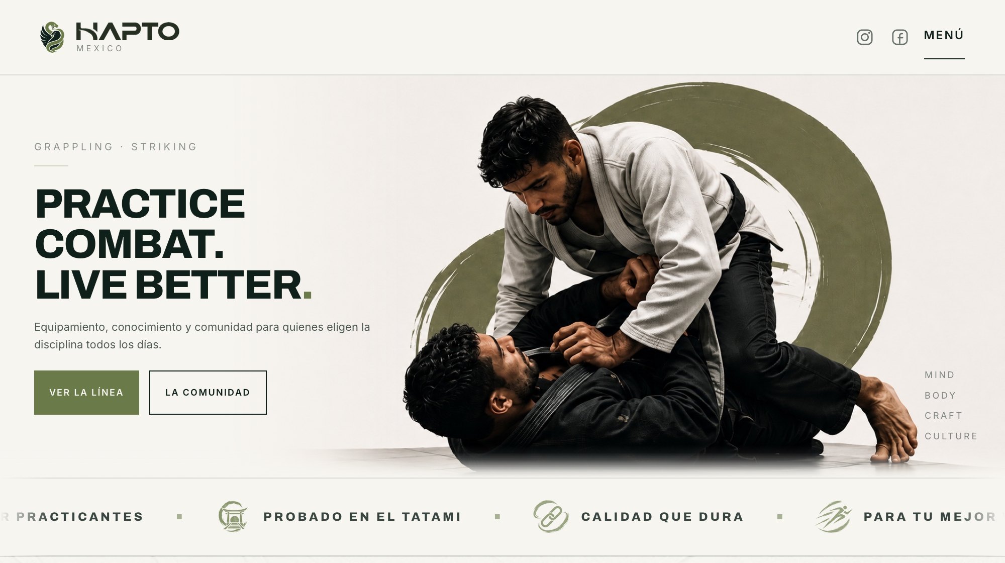 HAPTO · captura del sitio